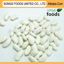 Organic dry white kidney beans